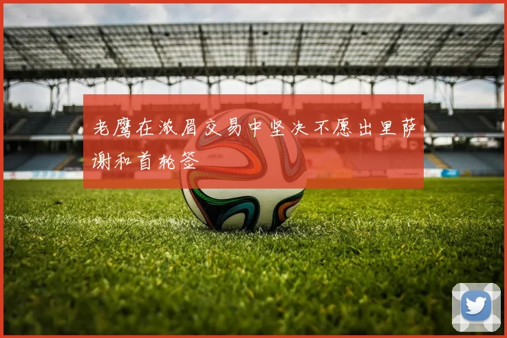 老鹰在浓眉交易中坚决不愿出里萨谢和首轮签